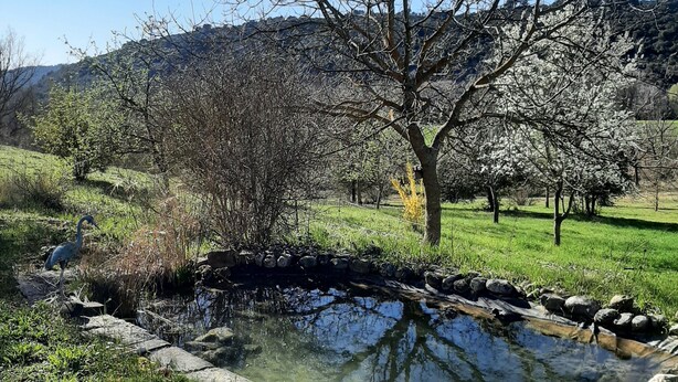 A pond with a stone edge, surrounded by grass and trees, with a clear blue sky above. - Studio 'Bas Verdon' with Terrace and Private Garden (Allemagne-en-Provence)