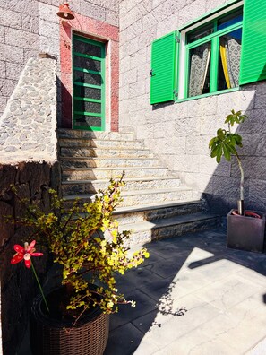 A stone building with green shutters, a potted plant, and a red flower.
