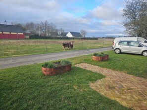 Eine ländliche Landschaft mit einem befestigten Weg, grünen Flächen und einem parkenden Auto.