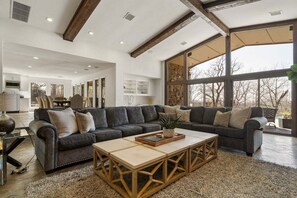 TV, fireplace, books