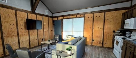 Smart TV, fireplace, books