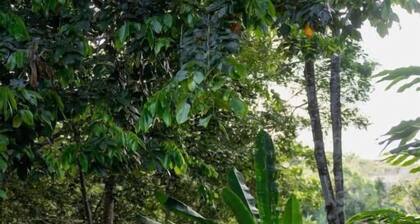 O Canto do Vale Trancoso