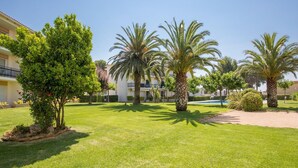 Un pati ben cuidat amb palmeres, una piscina i un edifici amb balcons.