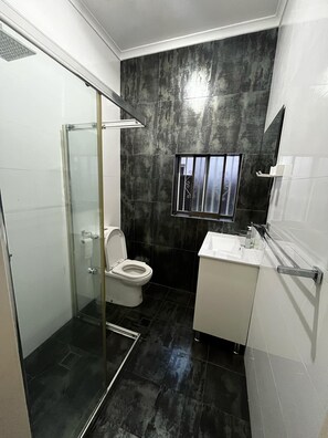 Hair dryer, towels, toilet paper