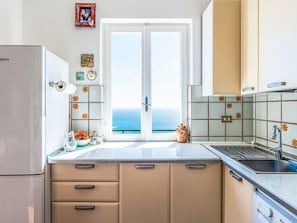 Fridge, oven, dishwasher, cookware/dishes/utensils