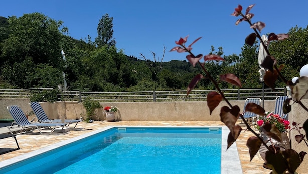 Une piscine rectangulaire, bordée d’une terrasse carrelée en pierre, entourée de chaises longues et de plantes en pot.