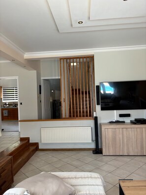 Télévision, cheminée, chaîne hi-fi