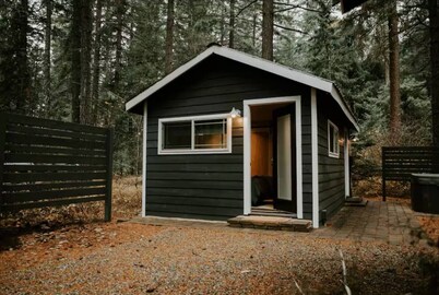 Cabin + Casita: Hot Tub, Lake, Game Room, Fire Pit