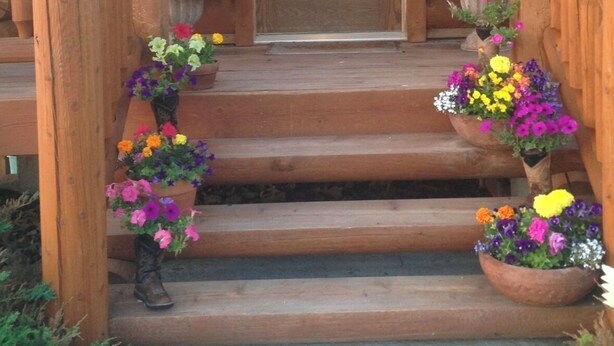 A wooden cabin with a wooden door and a small window above it. There are steps leading up to the door, and potted plants with colorful flowers on either side of the steps.