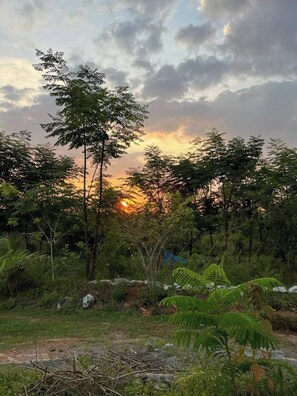 Miscellaneous - JoE- Amidst Nature campground in Thalikothanur - CAMPSITE 1 (Thalikothanur)