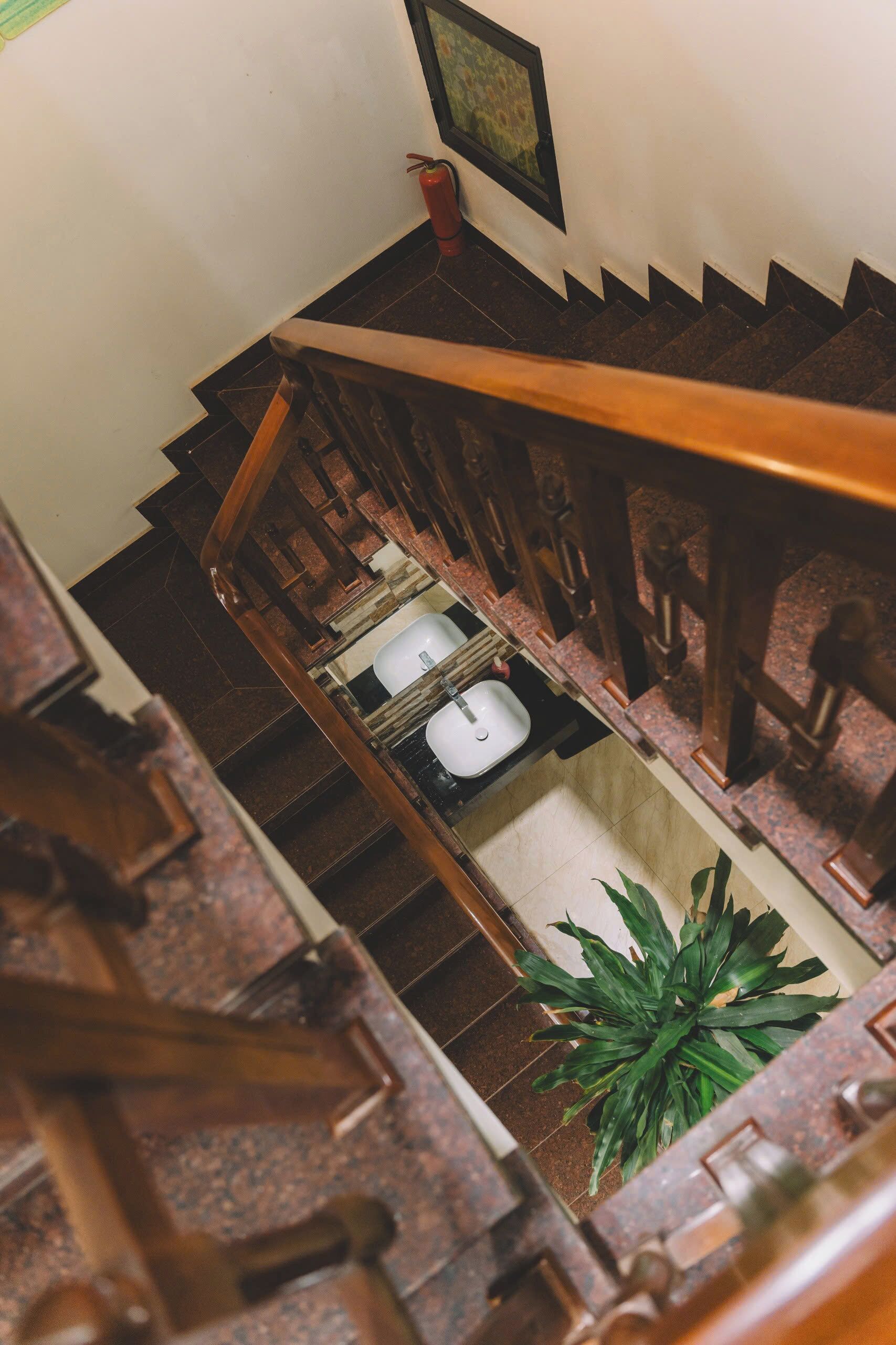 A wooden staircase with a handrail, a white sink, and a potted plant at the bottom.