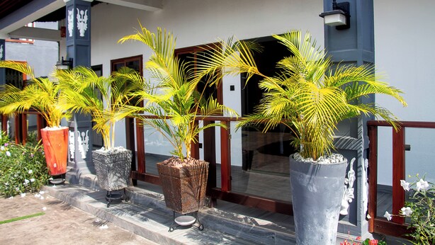 A building entrance with a covered porch, potted plants, and a wooden railing. - Royal Tulip Court (Accra)