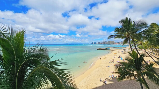 A beach with clear turquoise water, palm trees, and a city skyline in the background.