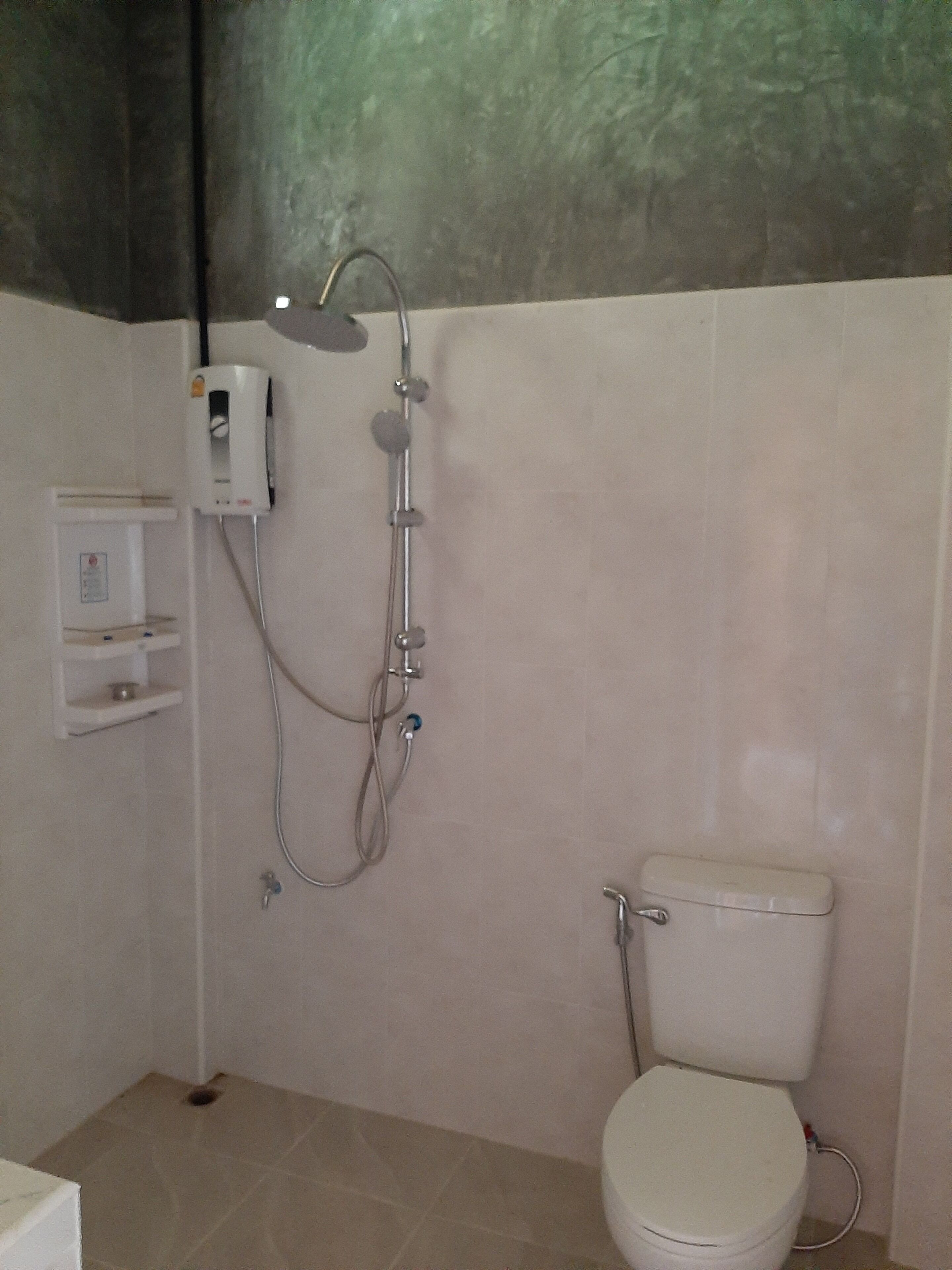 Une salle de bain avec douche, toilettes et une petite étagère.