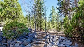 A stone pathway in a forested area.