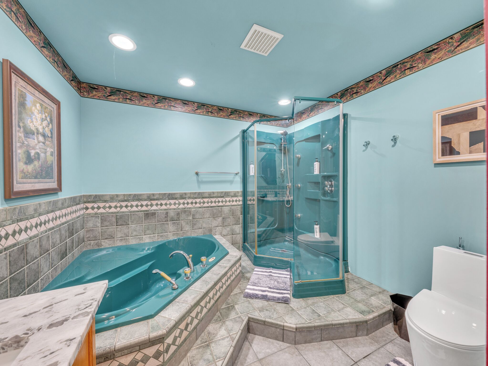 Shower, jetted tub, hair dryer, bidet
