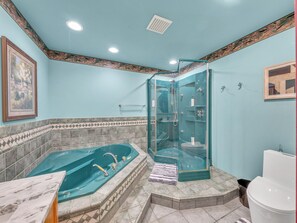 Douche, baignoire à jets, sèche-cheveux, bidet