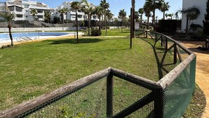Un área con césped, una valla, palmeras y una piscina.
