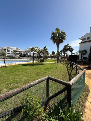 Un área con césped, una valla, palmeras y una piscina.