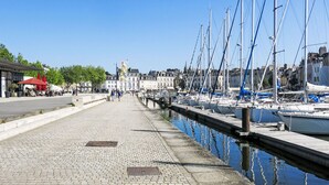 A marina with boats docked along a paved walkway.