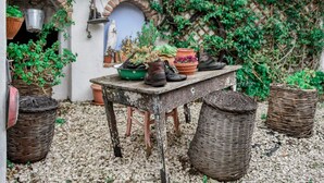 A rustic outdoor setting with a table displaying shoes and potted plants, surrounded by a gravel ground and a wall with greenery. - Giardino dei Limoni Rooms 2 (Oliena)