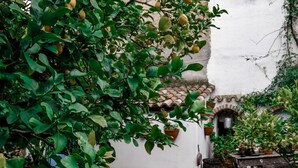 A courtyard with a white wall, a tiled roof, and potted plants. - Giardino dei Limoni Rooms 2 (Oliena)