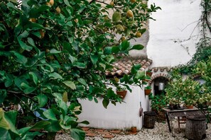 A courtyard with a white wall, a tiled roof, and potted plants. - Giardino dei Limoni Rooms 2 (Oliena)