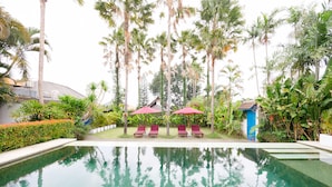 Une piscine entourée de palmiers et de verdure, avec des chaises longues et des parasols.