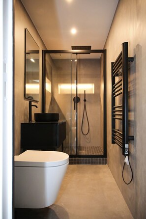 Shower, hair dryer, towels