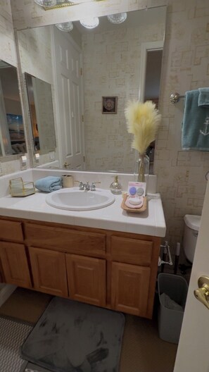 Secador de cabelo, toalhas de banho, sabonete, papel higiênico