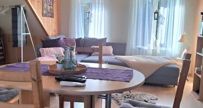 Reindeer farm with cozy vacation home