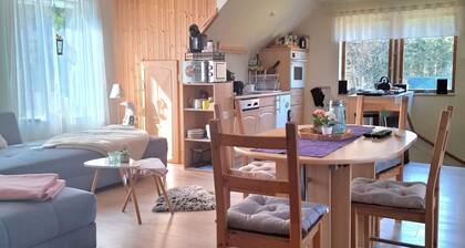 Reindeer farm with cozy vacation home