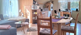 Reindeer farm with cozy vacation home