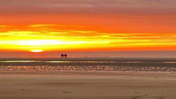 Chalet | View from property