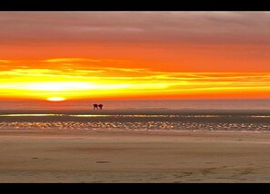 Chalet | Vue depuis l’hébergement