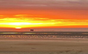 Chalet | Vue depuis l’hébergement