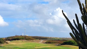 A golf course with a flag, cacti, and a distant lighthouse. - Palmbeach 623: 5 min walk to beach  by Bocobay (Noord)
