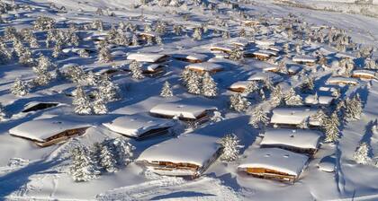Chalet in Hochfügen near Ski Slopes