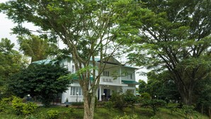 Un edificio blanco de dos pisos con techo verde, rodeado de abundante follaje y árboles.
