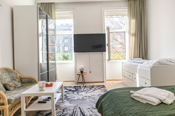 Basic Room | View from room