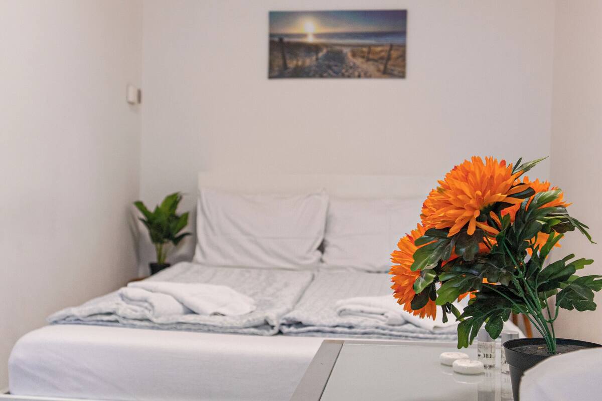 Chambre de base | Fer et planche à repasser, accès au Wi-Fi (inclus)