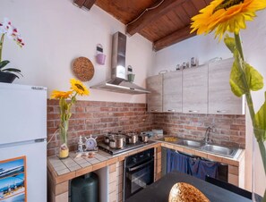 Fridge, oven, stovetop