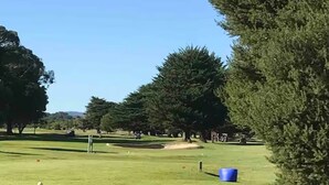 A golf course with a clear sky, trees, and a blue barrel. - Drift Away with the waves and endless sea views (Greens Beach)