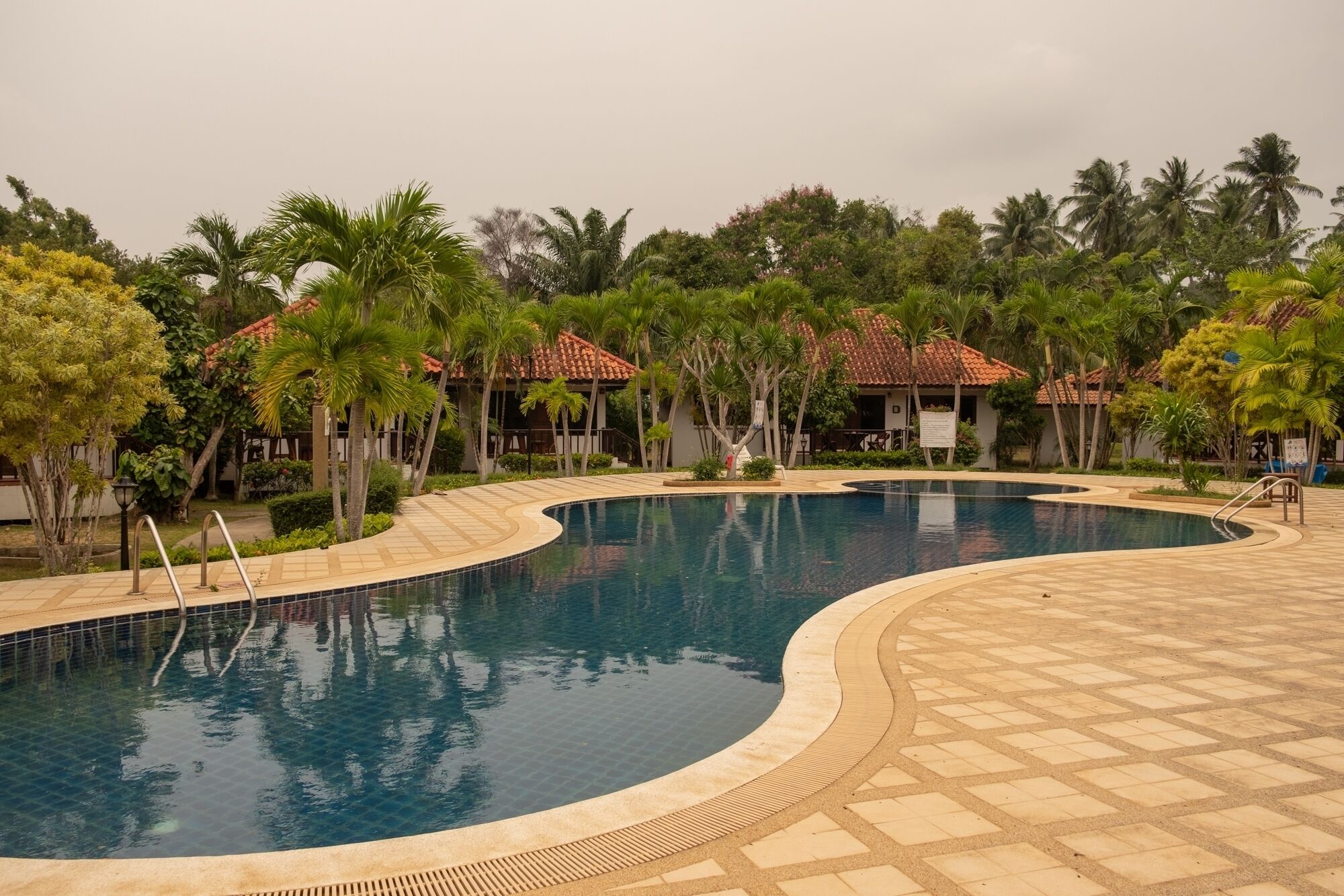 A swimming pool with a curved design, surrounded by palm trees and buildings with red-tiled roofs.
