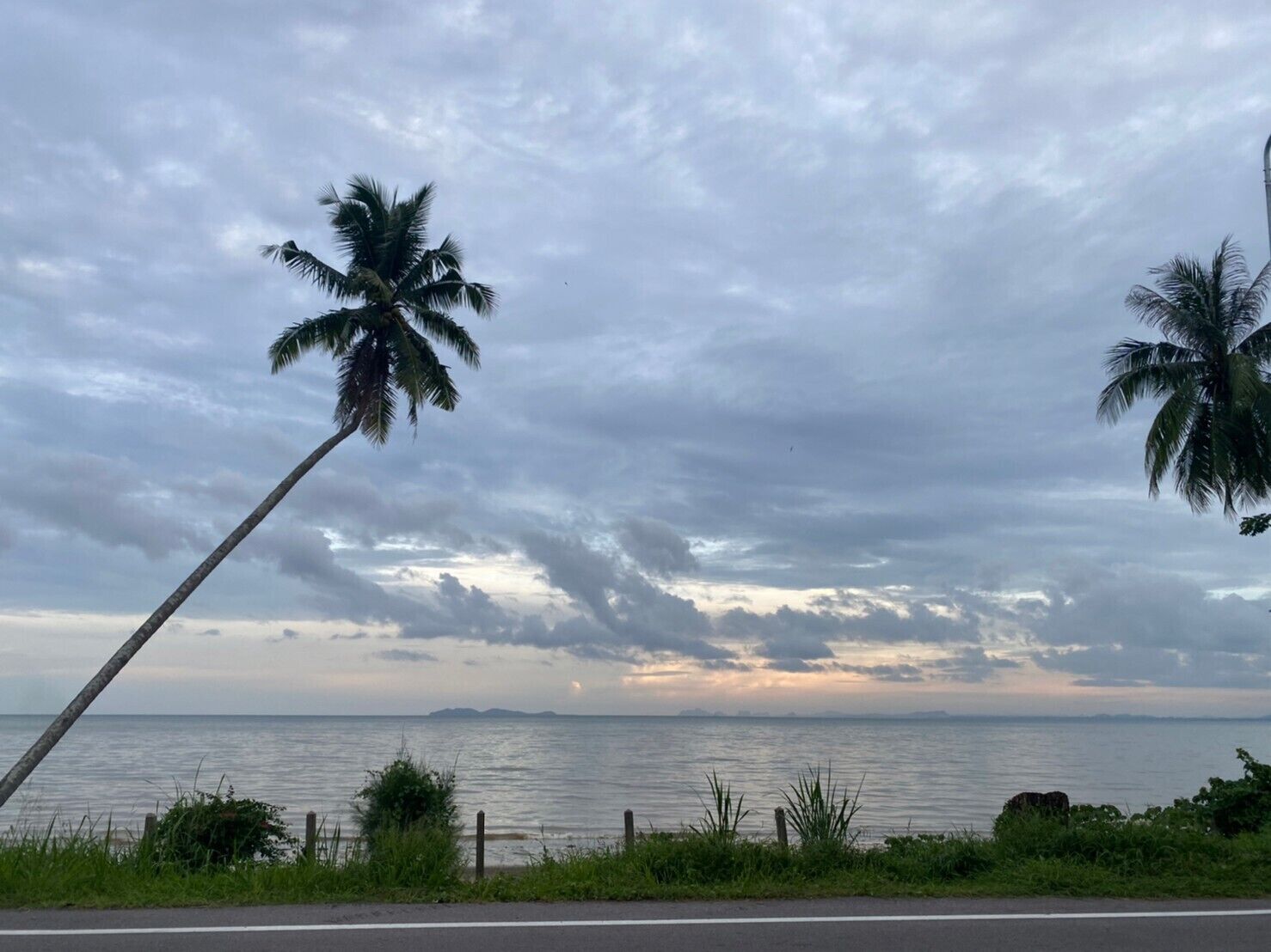 A coastal road with palm trees and a view of the sea.