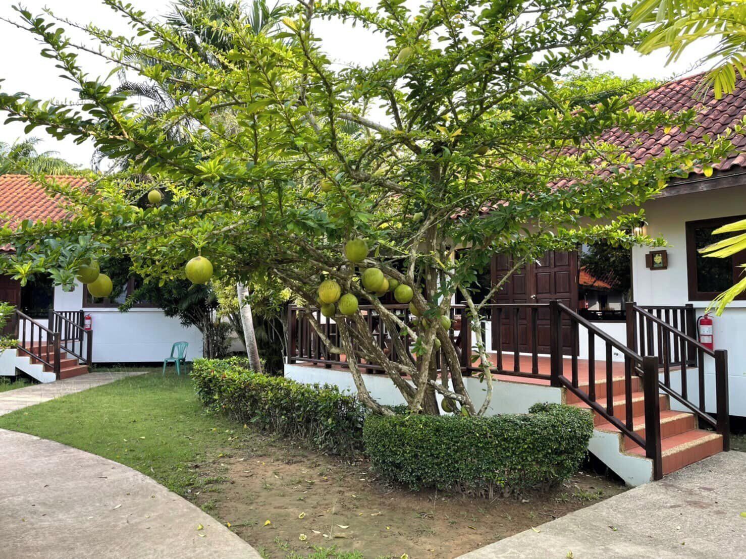 บริเวณภายนอก