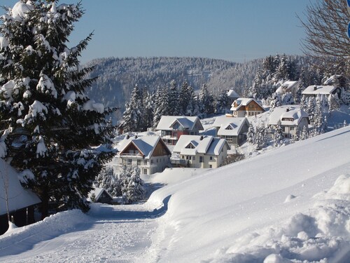 Apartment 'Bergahorn Typ B' with Mountain View, Private Terrace and Wi-Fi
