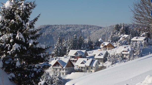 Un quartier résidentiel enneigé, avec des maisons construites sur une pente, entouré d’arbres.