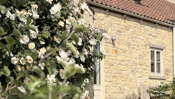 Edifici de pedra amb una finestra i una porta, envoltat de vegetació i flors blanques.