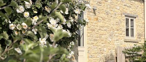 コテージ | 外観の詳細